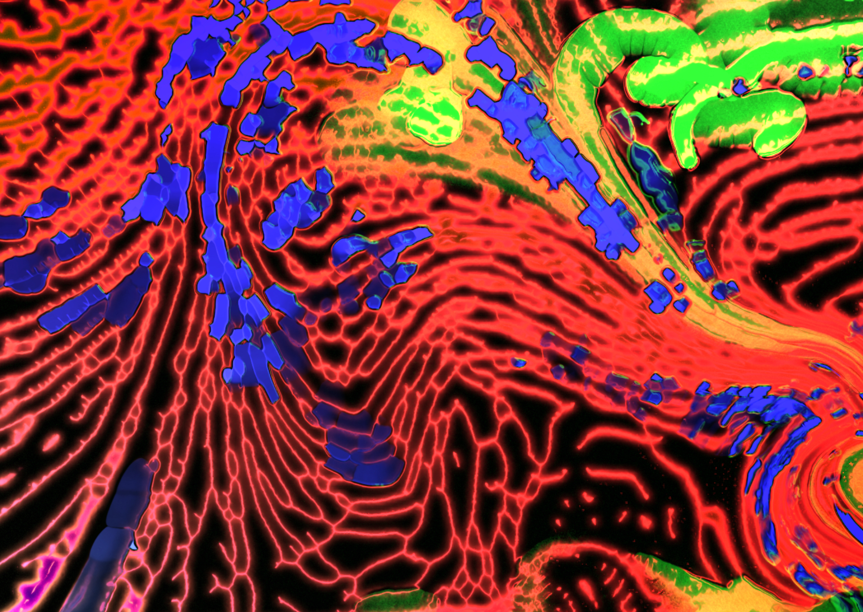 VizWiz fluid preset — flowing amber and magenta shapes reacting to mid frequencies